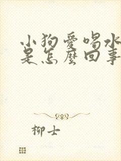 小狗爱喝水尿多是怎么回事