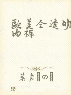 欧美全透明无裆内裤