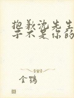 抱歉沈先生,孩子不是你的完结了吗