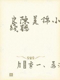 良陈美锦小说在线听