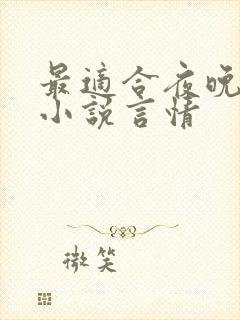 最适合夜晚看的小说言情