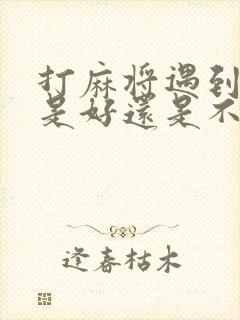 打麻将遇到天胡是好还是不好