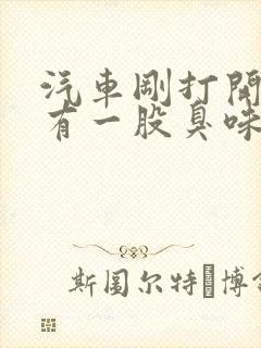 汽车刚打开空调有一股臭味怎么回事