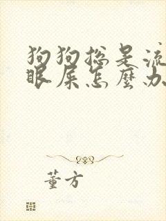 狗狗总是流眼泪眼屎怎么办