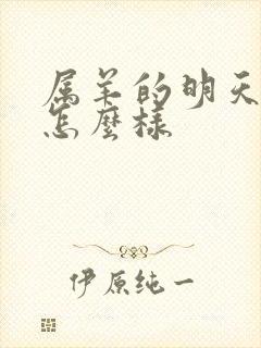 属羊的明天财运怎么样