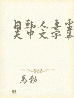 日韩人妻电影丈夫中文字幕