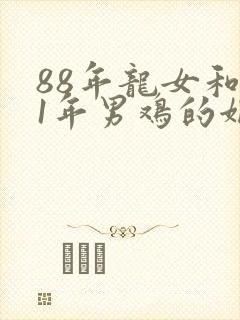 88年龙女和81年男鸡的姻缘怎么样