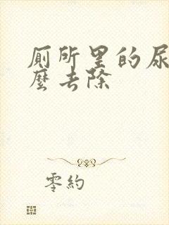 厕所里的尿渍怎么去除