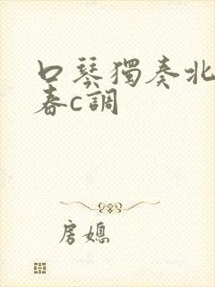 口琴独奏北国之春c调