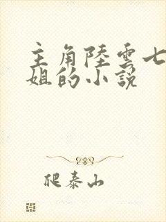 主角陆云七个姐姐的小说