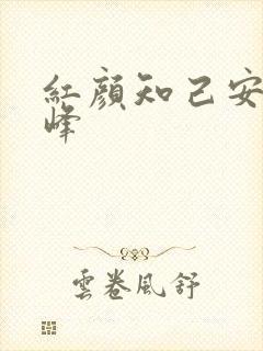 红颜知己安静王峰