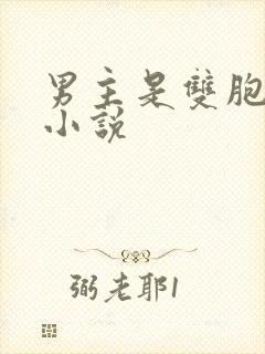 男主是双胞胎的小说