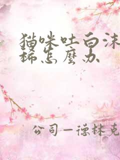 猫咪吐白沫又拉稀怎么办