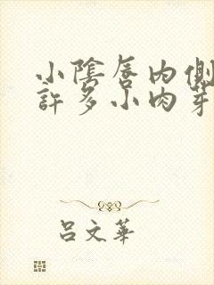 小阴唇内侧长了许多小肉芽