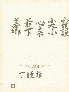 姜爷心尖宠她从乡下来小说免费看