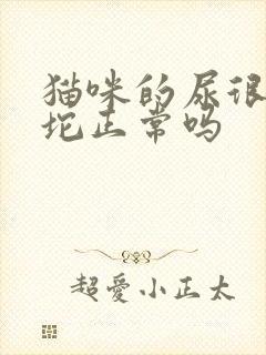 猫咪的尿很大一坨正常吗