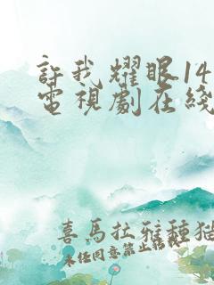 许我耀眼14集电视剧在线观看