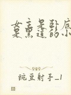 女主是卧底男主是黑道的小说