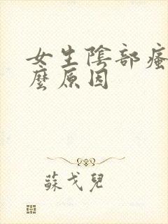 女生阴部瘙痒什么原因