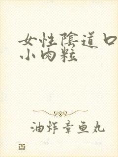 女性阴道口内侧小肉粒