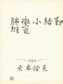 肺微小结节 纤维灶