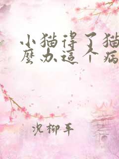 小猫得了猫瘟怎么办这个病是怎么得的呢