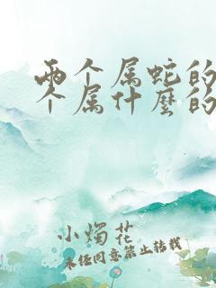 两个属蛇的人生个属什么的宝宝