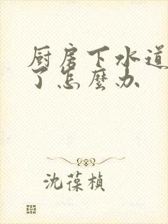 厨房下水道堵住了怎么办