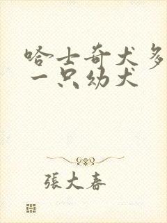 哈士奇犬多少钱一只幼犬