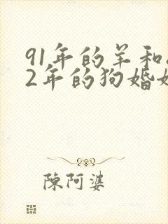 91年的羊和82年的狗婚姻怎么样