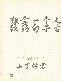 想念一个人到极致的句子古诗词