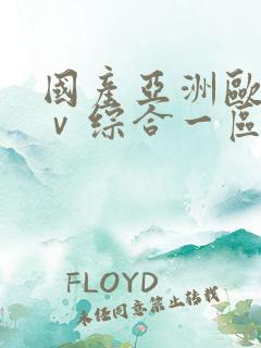 国产亚洲欧洲aⅴ综合一区