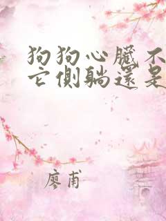 狗狗心脏不好让它侧躺还是趴着好