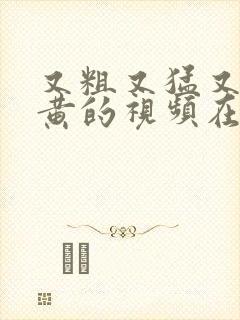 又粗又猛又爽又黄的视频在线观看