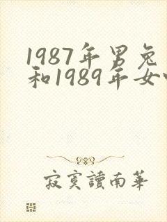 1987年男兔和1989年女蛇姻缘怎么样