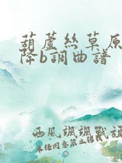 葫芦丝草原之夜降b调曲谱