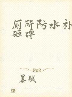 厕所防水补漏免砸砖