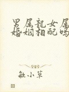 男属龙女属羊的婚姻相配吗