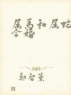 属马和属蛇合不合婚