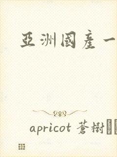 亚洲国产一区二