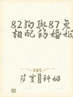 82狗与87兔相配的婚姻如何