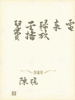 儿子归来电影免费播放