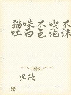 猫咪不吃不喝呕吐白色泡沫