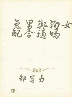 兔男与狗女的婚配合适吗