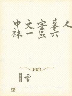 中文字幕人妻丝袜一区六