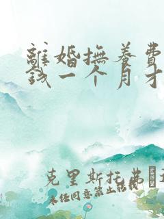 离婚抚养费多少钱一个月才合适