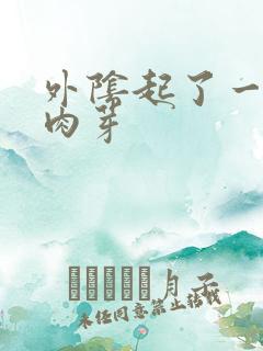 外阴起了一些小肉芽