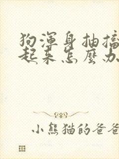 狗浑身抽搐站不起来怎么办