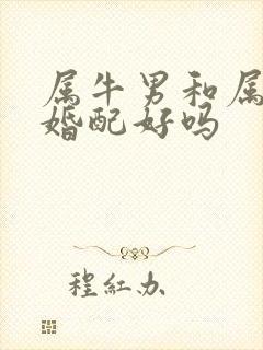 属牛男和属虎女婚配好吗