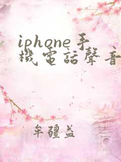 iphone手机电话声音很小